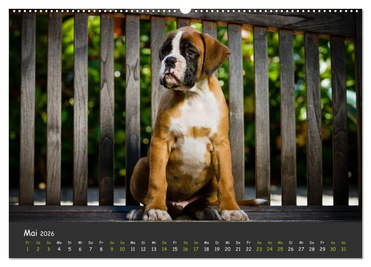Bild: 9783516138542 | Wenn ich groß bin werd' ich Boxer (hochwertiger Premium...