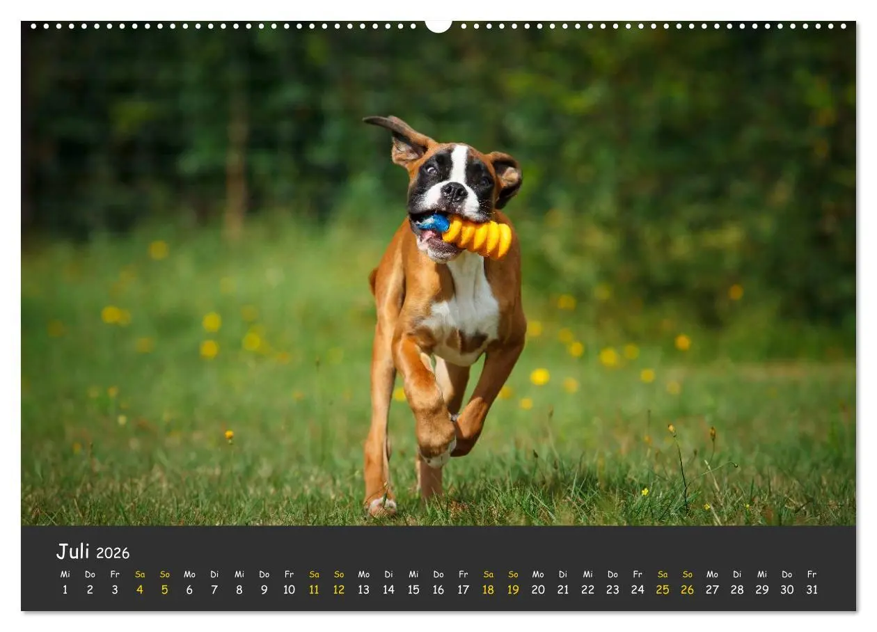 Bild: 9783516138542 | Wenn ich groß bin werd' ich Boxer (hochwertiger Premium...