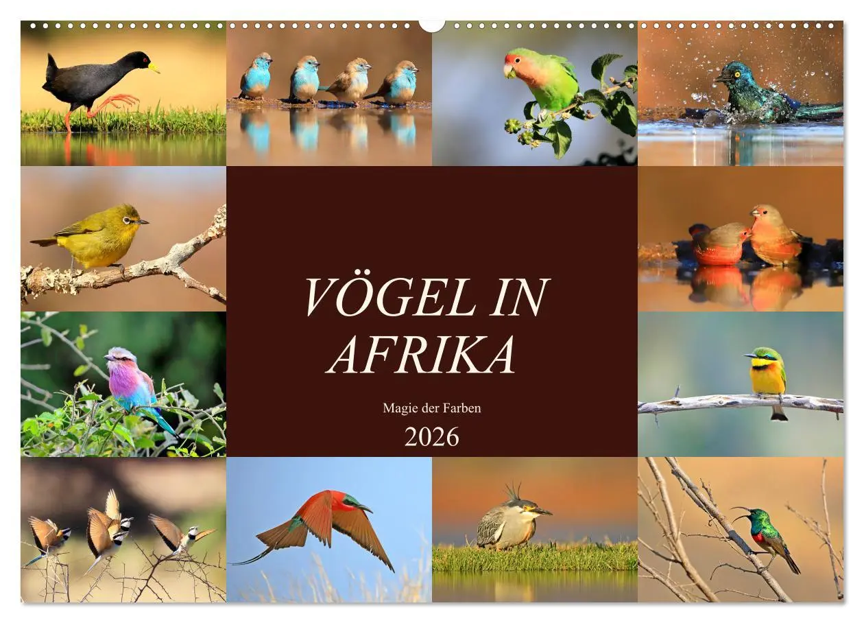 Cover: 9783516128642 | Vögel in Afrika - Magie der Farben (Wandkalender 2026 DIN A2 quer),...
