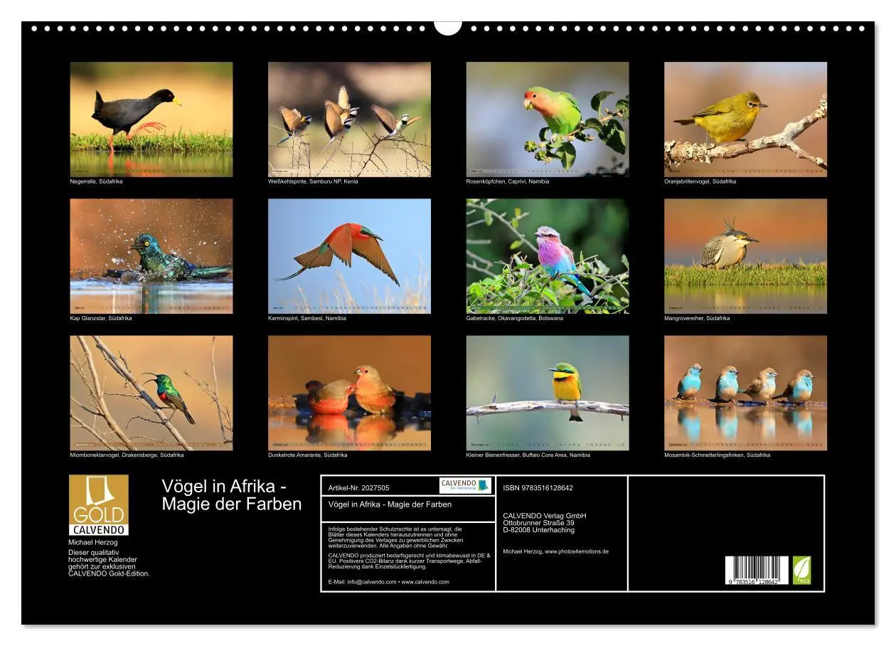 Bild: 9783516128642 | Vögel in Afrika - Magie der Farben (Wandkalender 2026 DIN A2 quer),...