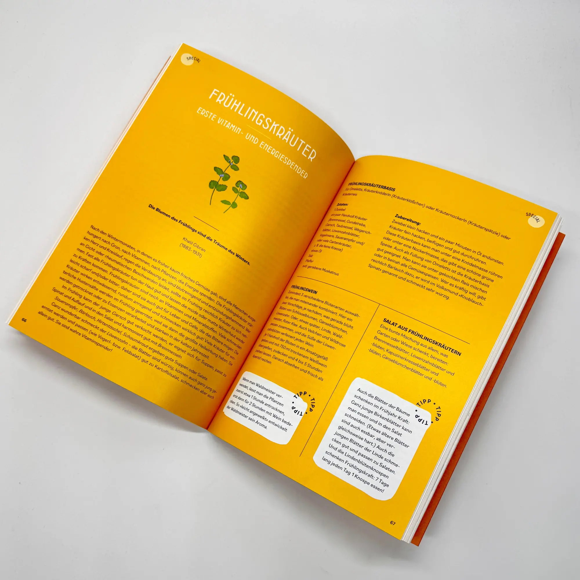 Bild: 9783708808642 | Kräutermedizin für die Seele | Christiane Holler | Taschenbuch | 2025