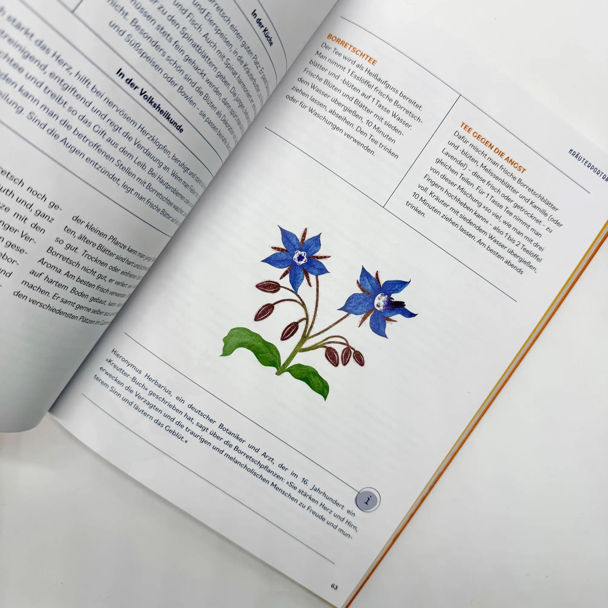 Bild: 9783708808642 | Kräutermedizin für die Seele | Christiane Holler | Taschenbuch | 2025