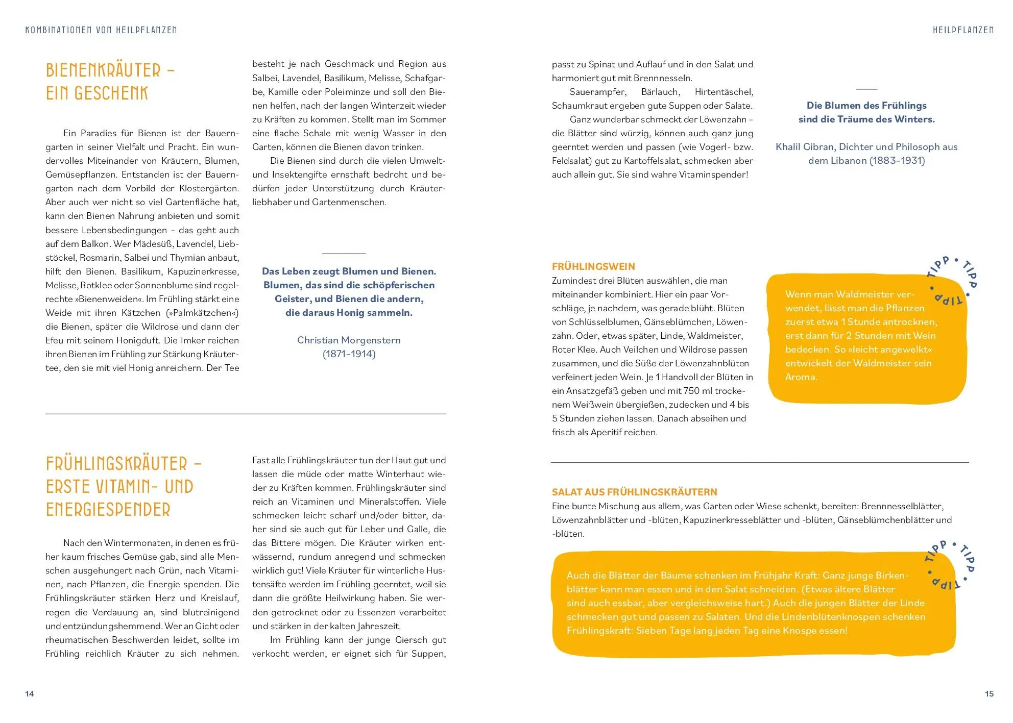 Bild: 9783708808642 | Kräutermedizin für die Seele | Christiane Holler | Taschenbuch | 2025