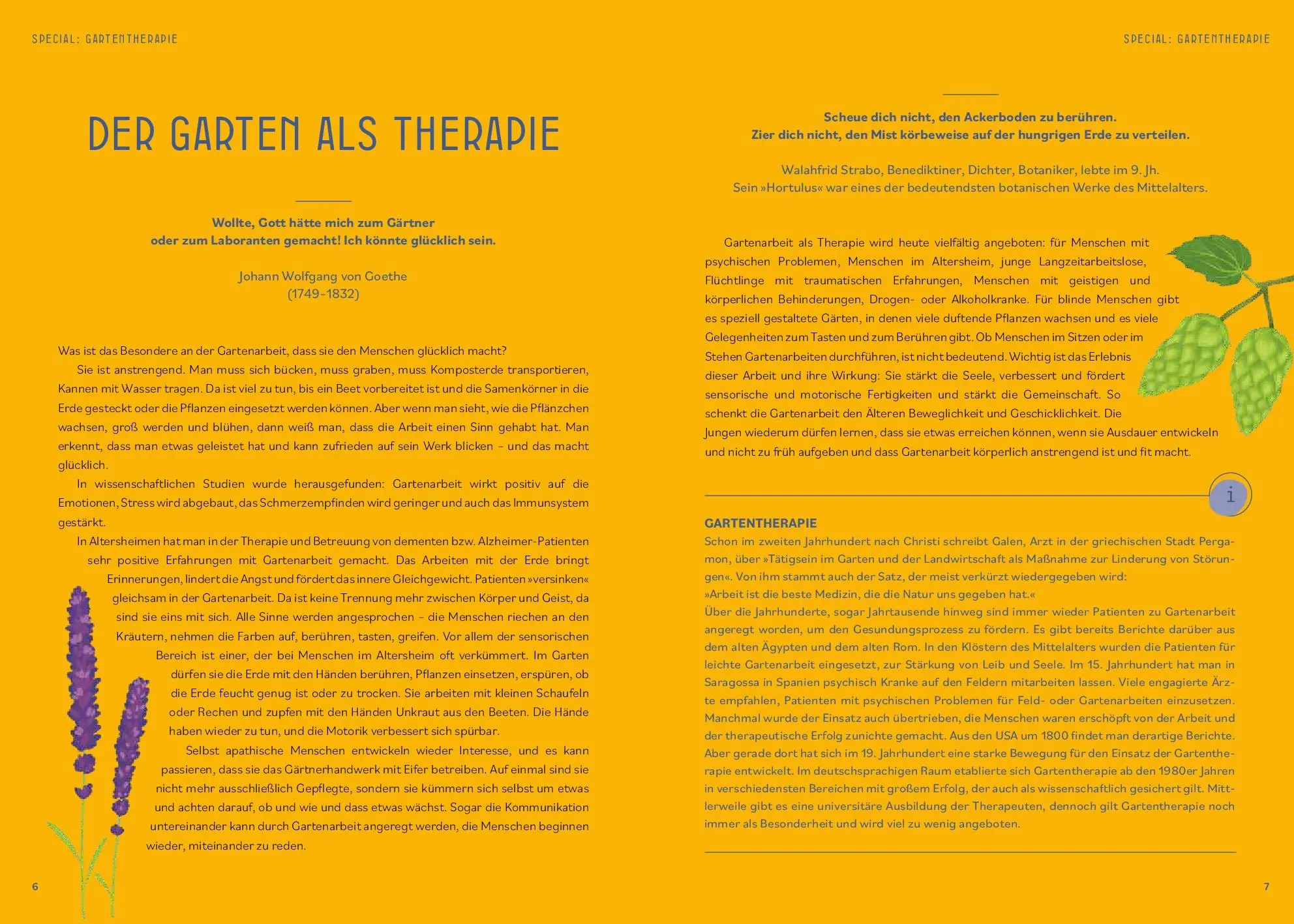 Bild: 9783708808642 | Kräutermedizin für die Seele | Christiane Holler | Taschenbuch | 2025