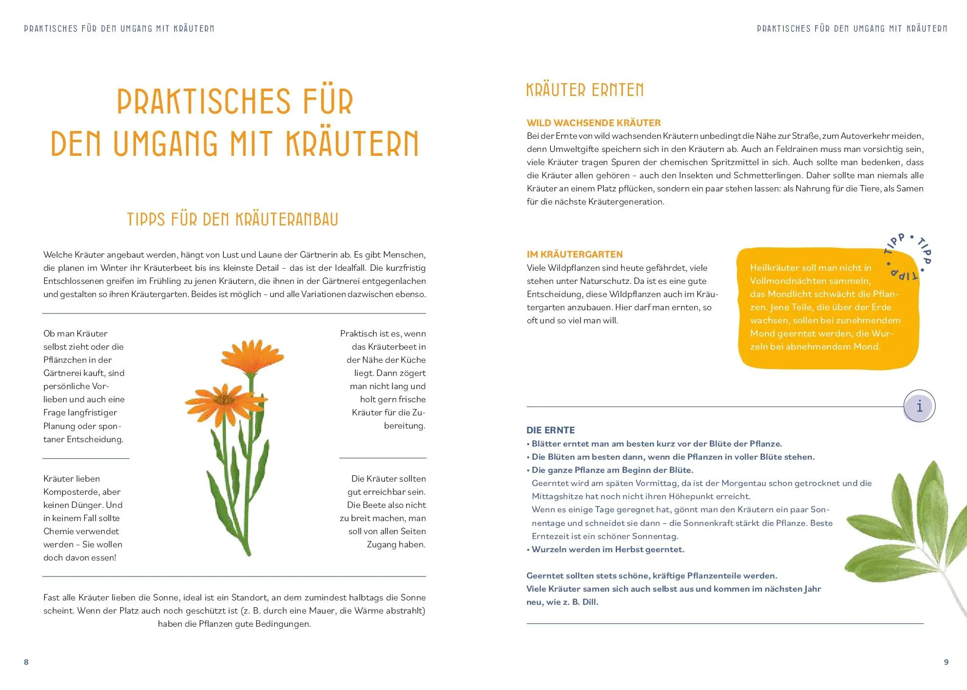 Bild: 9783708808642 | Kräutermedizin für die Seele | Christiane Holler | Taschenbuch | 2025