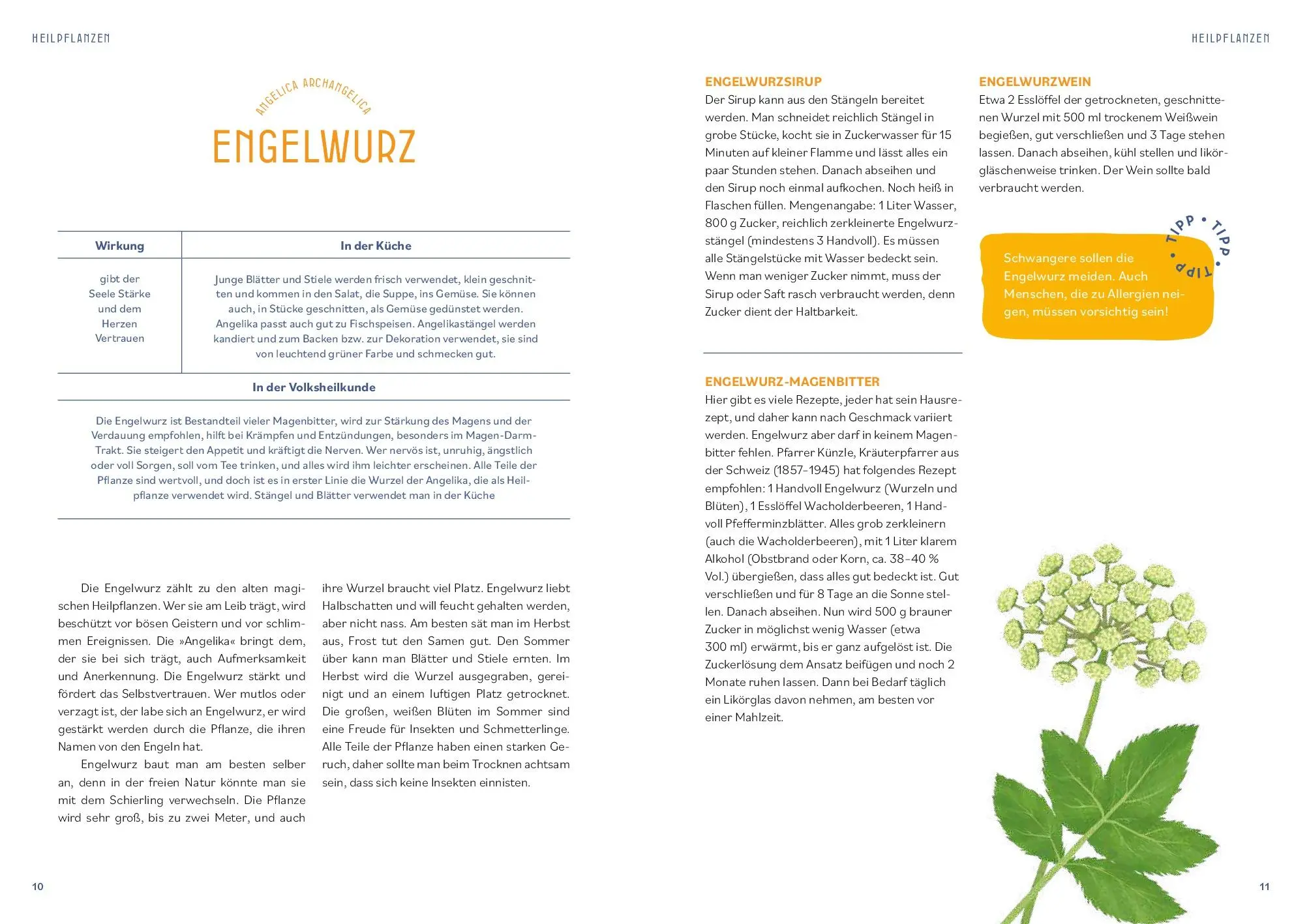 Bild: 9783708808642 | Kräutermedizin für die Seele | Christiane Holler | Taschenbuch | 2025