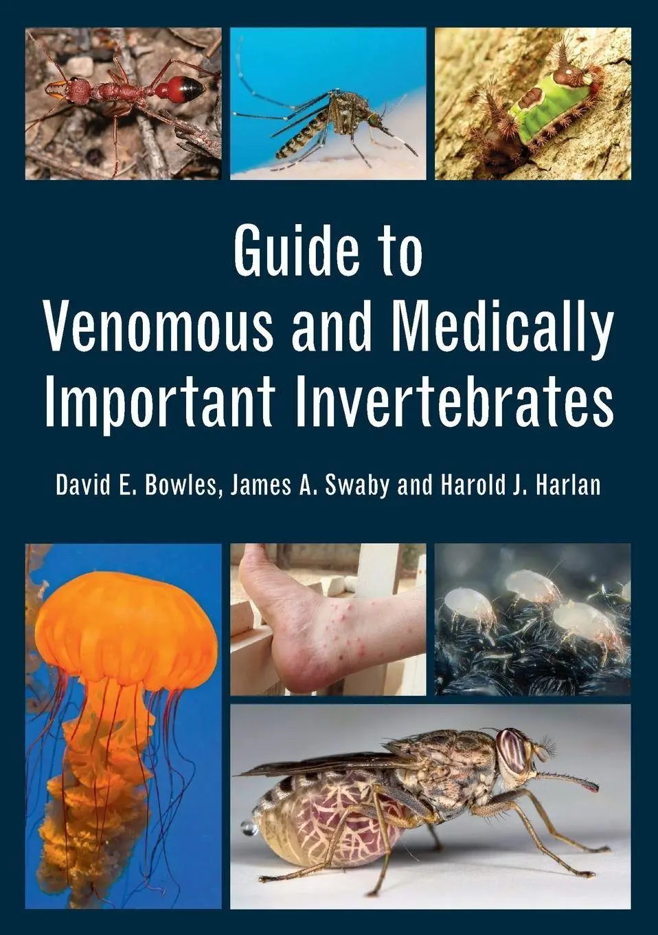 Cover: 9781486308842 | Guide to Venomous and Medically Important Invertebrates | Taschenbuch