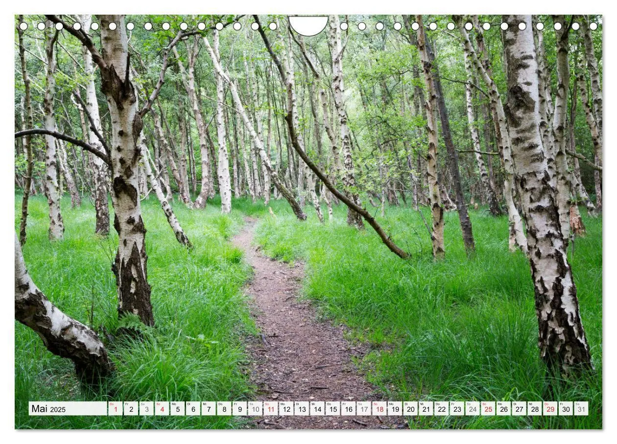 Bild: 9783435618842 | Amrum. Natur und Landschaften (Wandkalender 2025 DIN A4 quer),...
