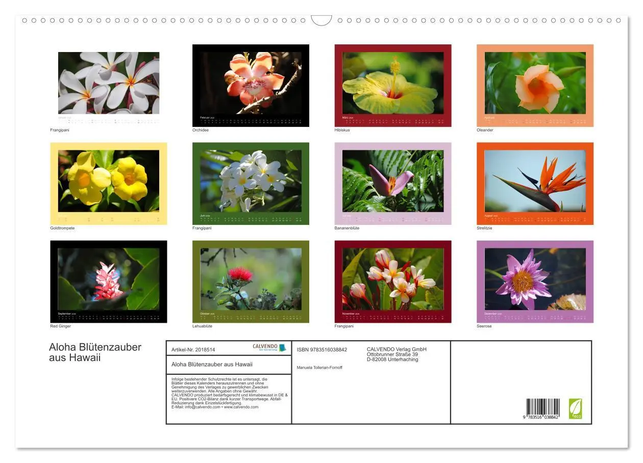 Bild: 9783516038842 | Aloha Blütenzauber aus Hawaii (Wandkalender 2026 DIN A2 quer),...