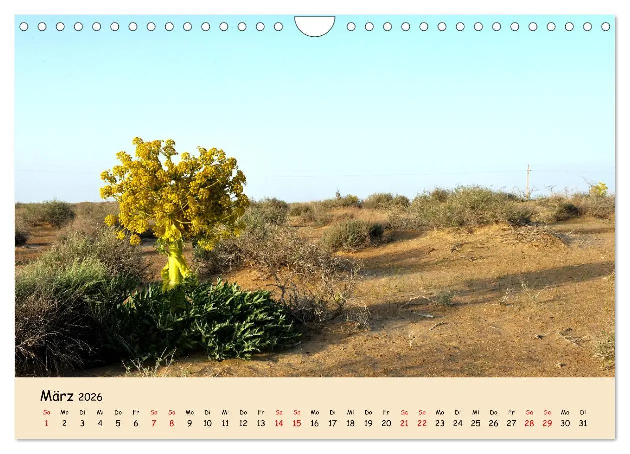 Bild: 9783457248942 | Usbekistan, Perlen der Seidenstraße (Wandkalender 2026 DIN A4...