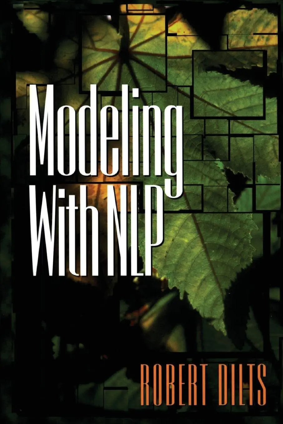 Cover: 9781947629042 | Modeling with NLP | Robert Brian Dilts | Taschenbuch | Englisch | 2017