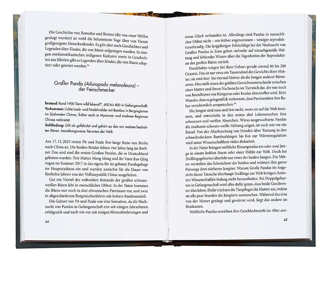 Bild: 9783426449042 | Im Reich der Bären | Moritz Klose | Buch | 304 S. | Deutsch | 2025