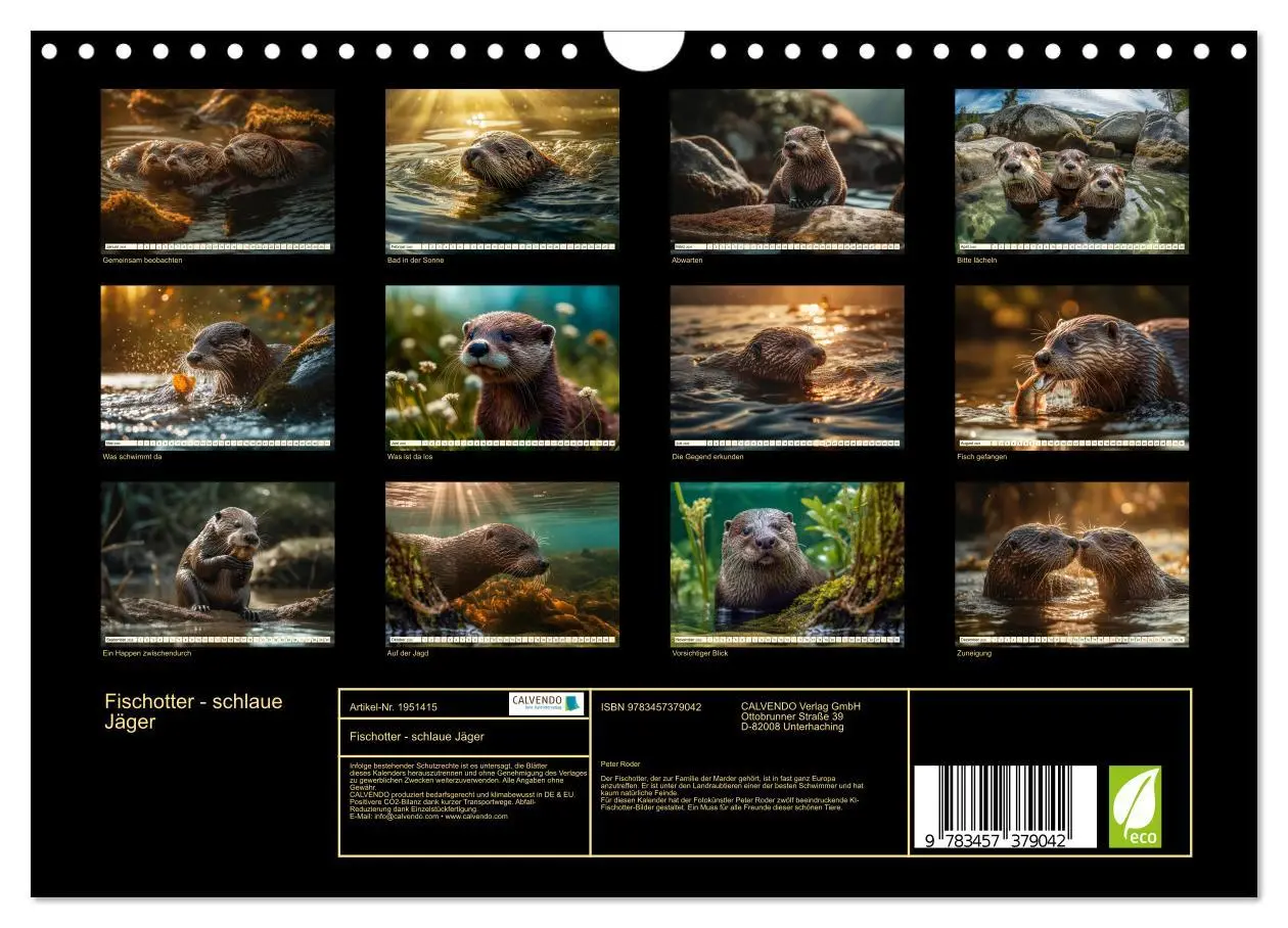 Bild: 9783457379042 | Fischotter - schlaue Jäger (Wandkalender 2026 DIN A4 quer),...
