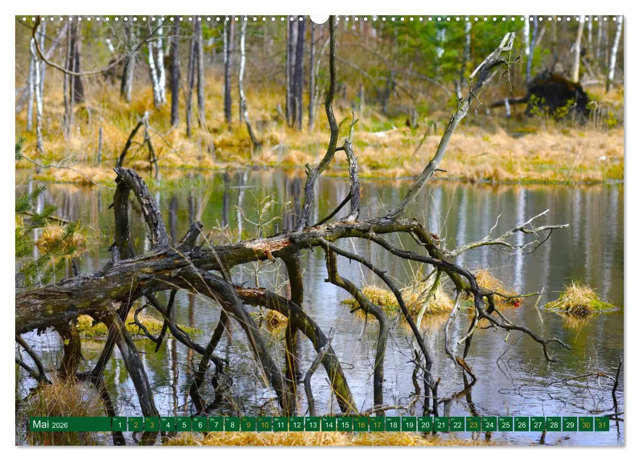 Bild: 9783457449042 | Der Loben. Im Reich der Moorgeister und Kreuzottern-...