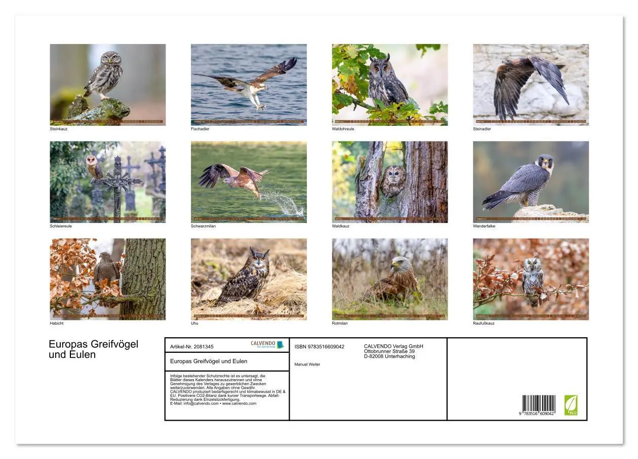 Bild: 9783516609042 | Europas Greifvögel und Eulen (Wandkalender 2026 DIN A2 quer),...