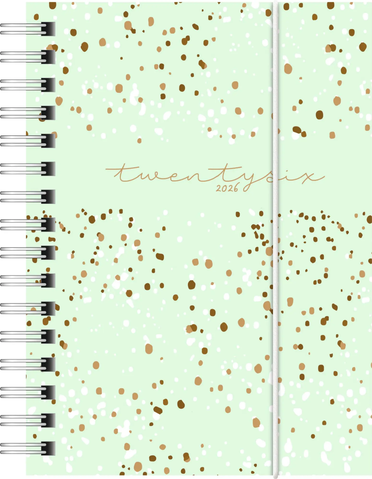 Cover: 4003273789142 | rido/idé 7013102026 Taschenkalender Mod. perfect/Technik I 2026...