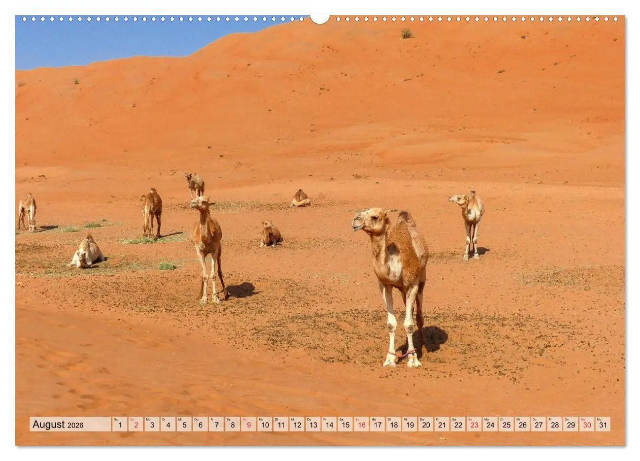 Bild: 9783457679142 | Oman - Zauberhafte Landschaften (hochwertiger Premium Wandkalender...