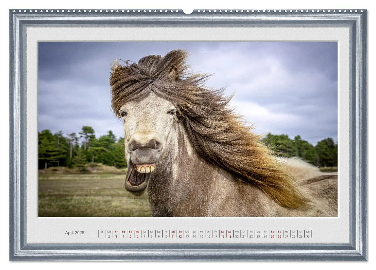 Bild: 9783457429242 | Ich bin ein Isländer (hochwertiger Premium Wandkalender 2026 DIN A2...