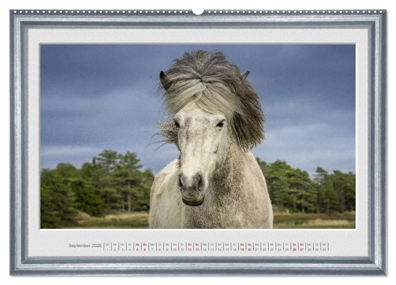 Bild: 9783457429242 | Ich bin ein Isländer (hochwertiger Premium Wandkalender 2026 DIN A2...