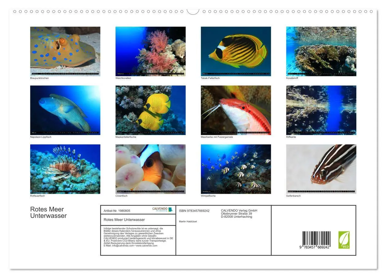 Bild: 9783457669242 | Rotes Meer Unterwasser (hochwertiger Premium Wandkalender 2026 DIN...