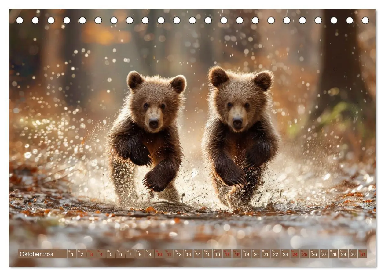Bild: 9783457419342 | Wildes Bärenland (Tischkalender 2026 DIN A5 quer), CALVENDO...