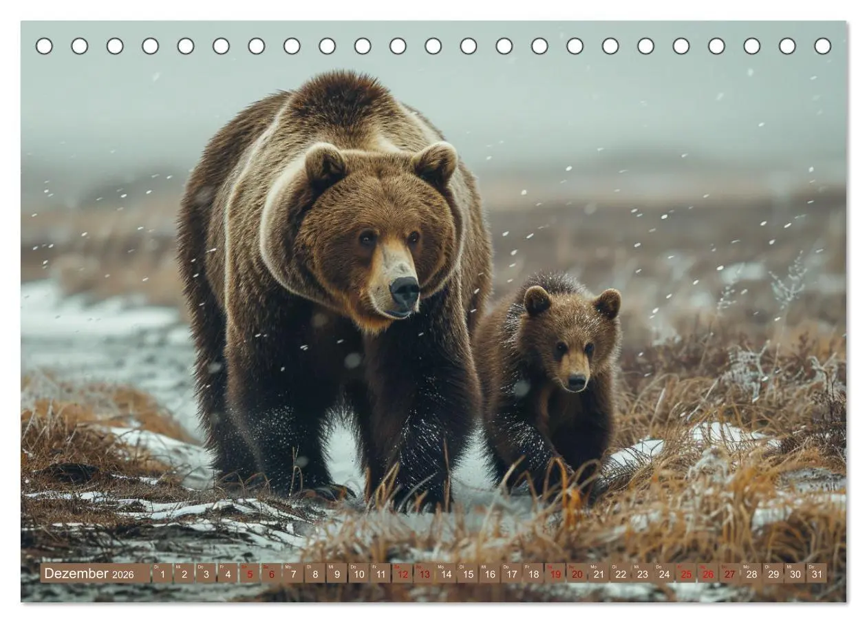 Bild: 9783457419342 | Wildes Bärenland (Tischkalender 2026 DIN A5 quer), CALVENDO...