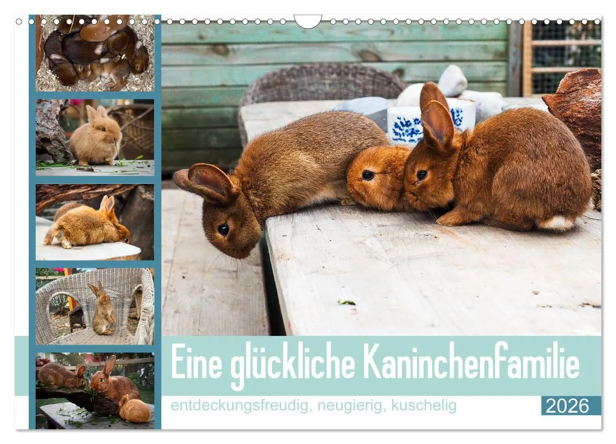 Cover: 9783457589342 | Eine glückliche Kaninchenfamilie (Wandkalender 2026 DIN A3 quer),...