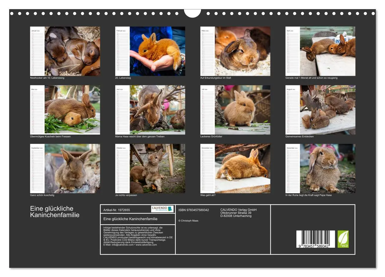 Bild: 9783457589342 | Eine glückliche Kaninchenfamilie (Wandkalender 2026 DIN A3 quer),...