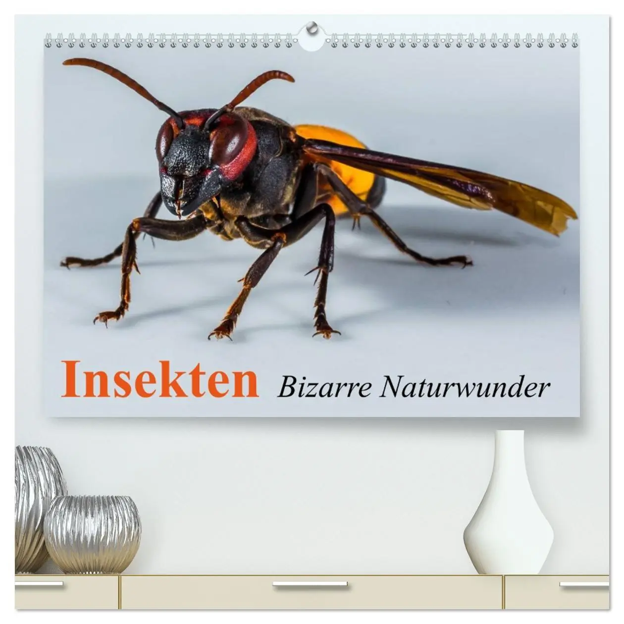 Cover: 9783516129342 | Insekten ¿ Bizarre Naturwunder (hochwertiger Premium Wandkalender...