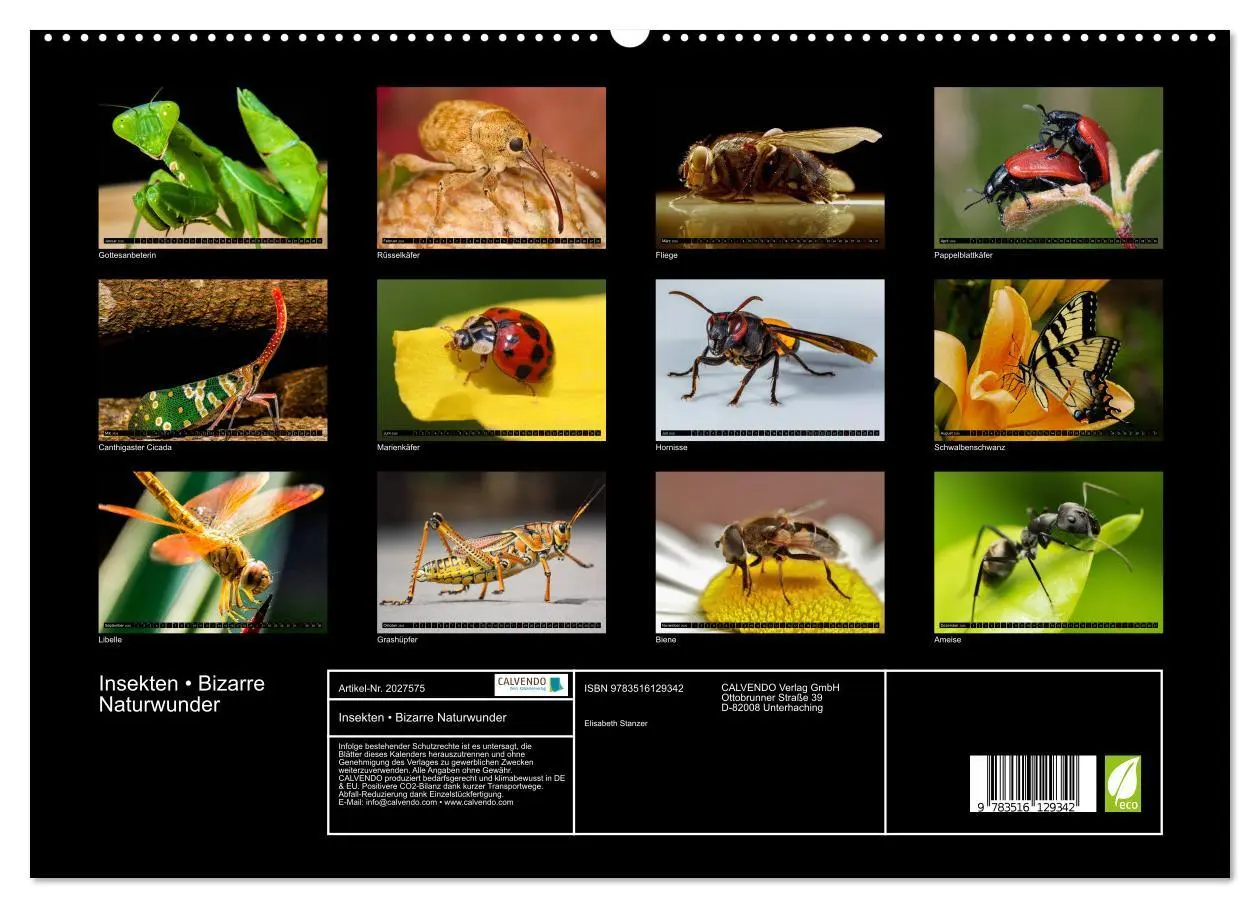 Bild: 9783516129342 | Insekten ¿ Bizarre Naturwunder (hochwertiger Premium Wandkalender...