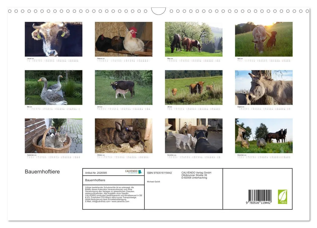 Bild: 9783516119442 | Bauernhoftiere (Wandkalender 2026 DIN A3 quer), CALVENDO...
