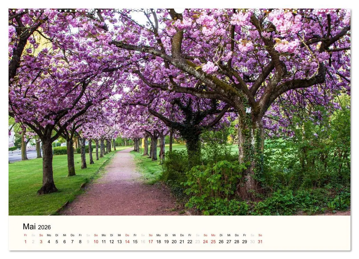 Bild: 9783516039542 | Völklingen. Im Schatten des Weltkulturerbes (Wandkalender 2026 DIN...