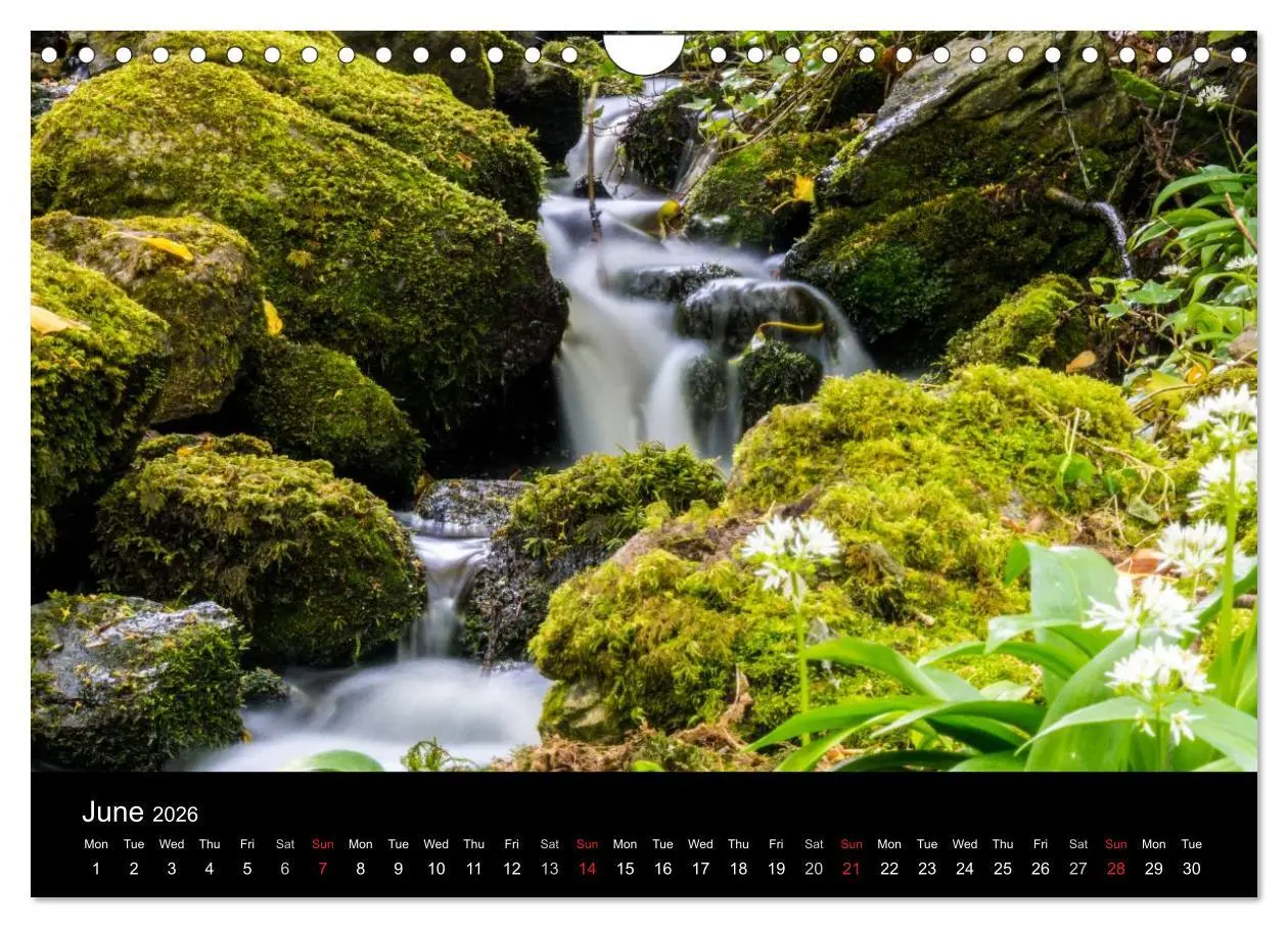 Bild: 9783516579642 | Landsapes of Donegal (Wall Calendar 2026 DIN A4 landscape),...