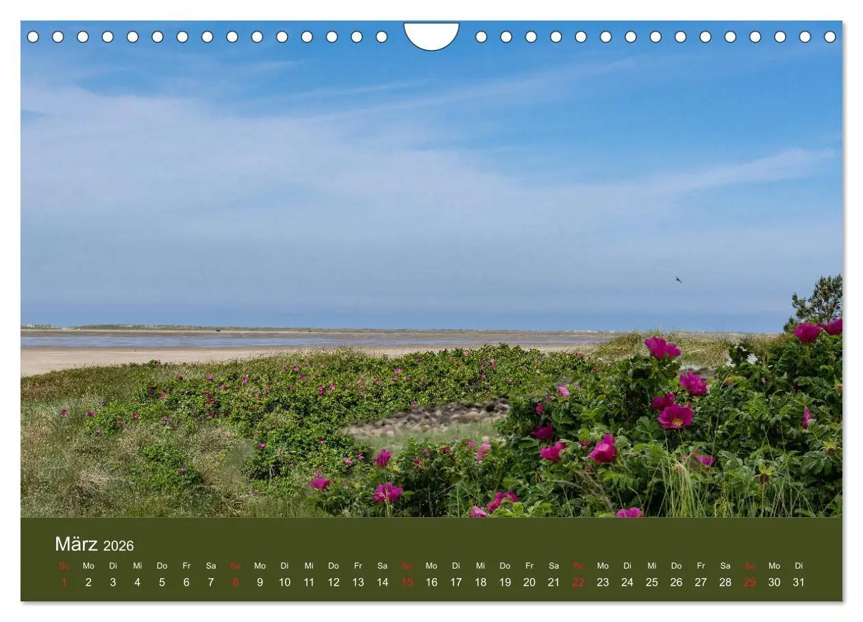 Bild: 9783457789742 | Römö - Wasser, Wind und endloser Strand (Wandkalender 2026 DIN A4...
