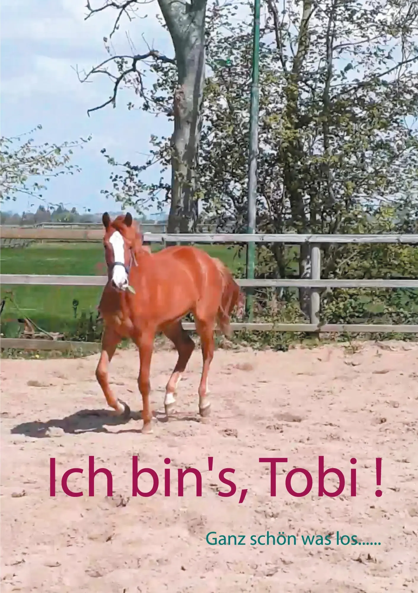 Ich bin's, Tobi !: Ganz schön was los....