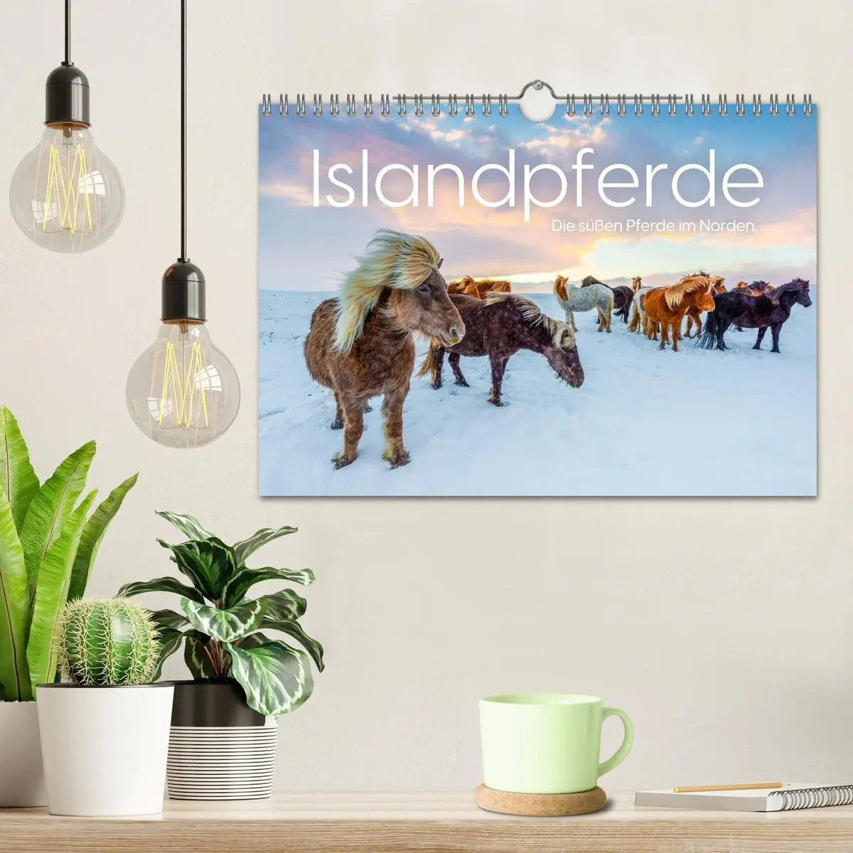 Bild: 9783457539842 | Islandpferde - Die süßen Pferde im Norden. (Wandkalender 2026 DIN...