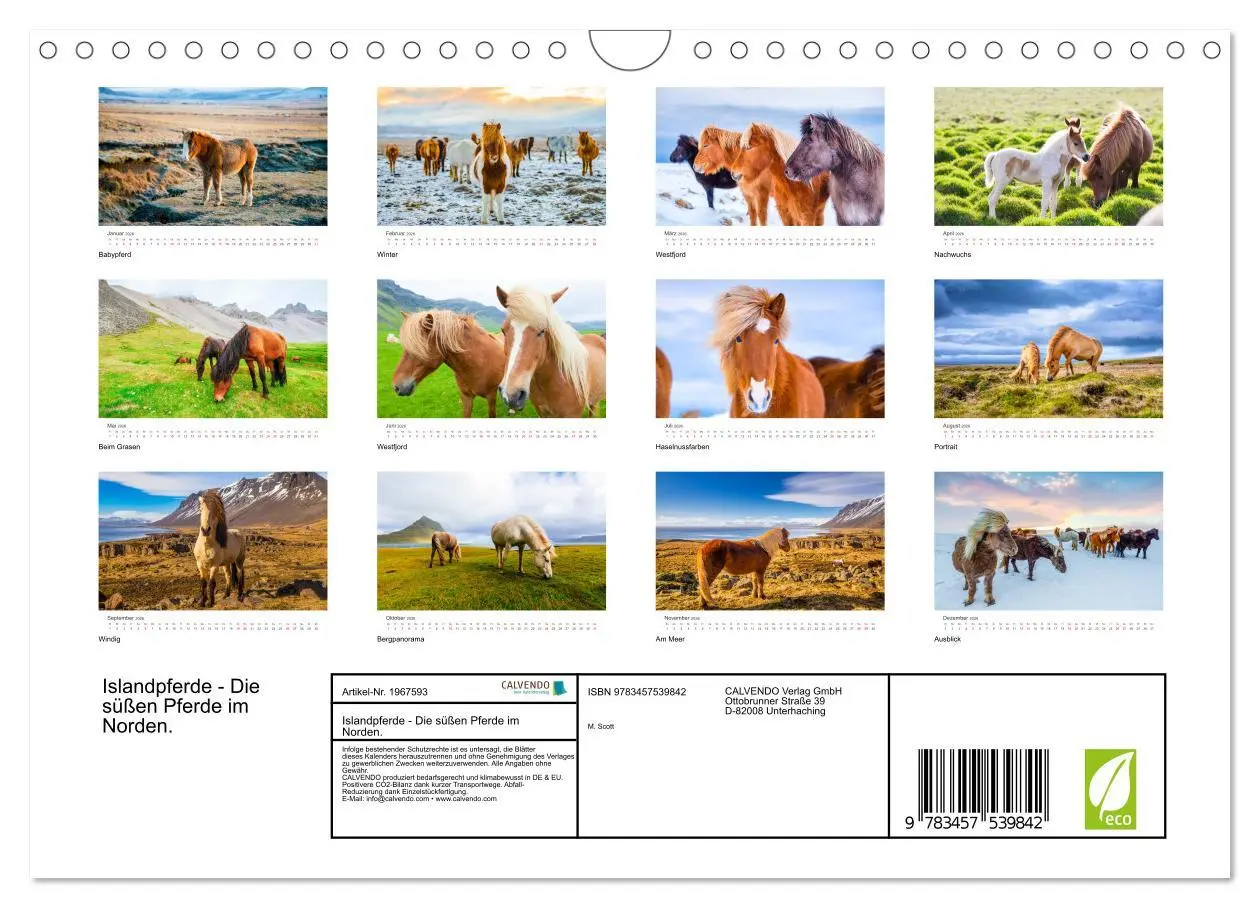 Bild: 9783457539842 | Islandpferde - Die süßen Pferde im Norden. (Wandkalender 2026 DIN...
