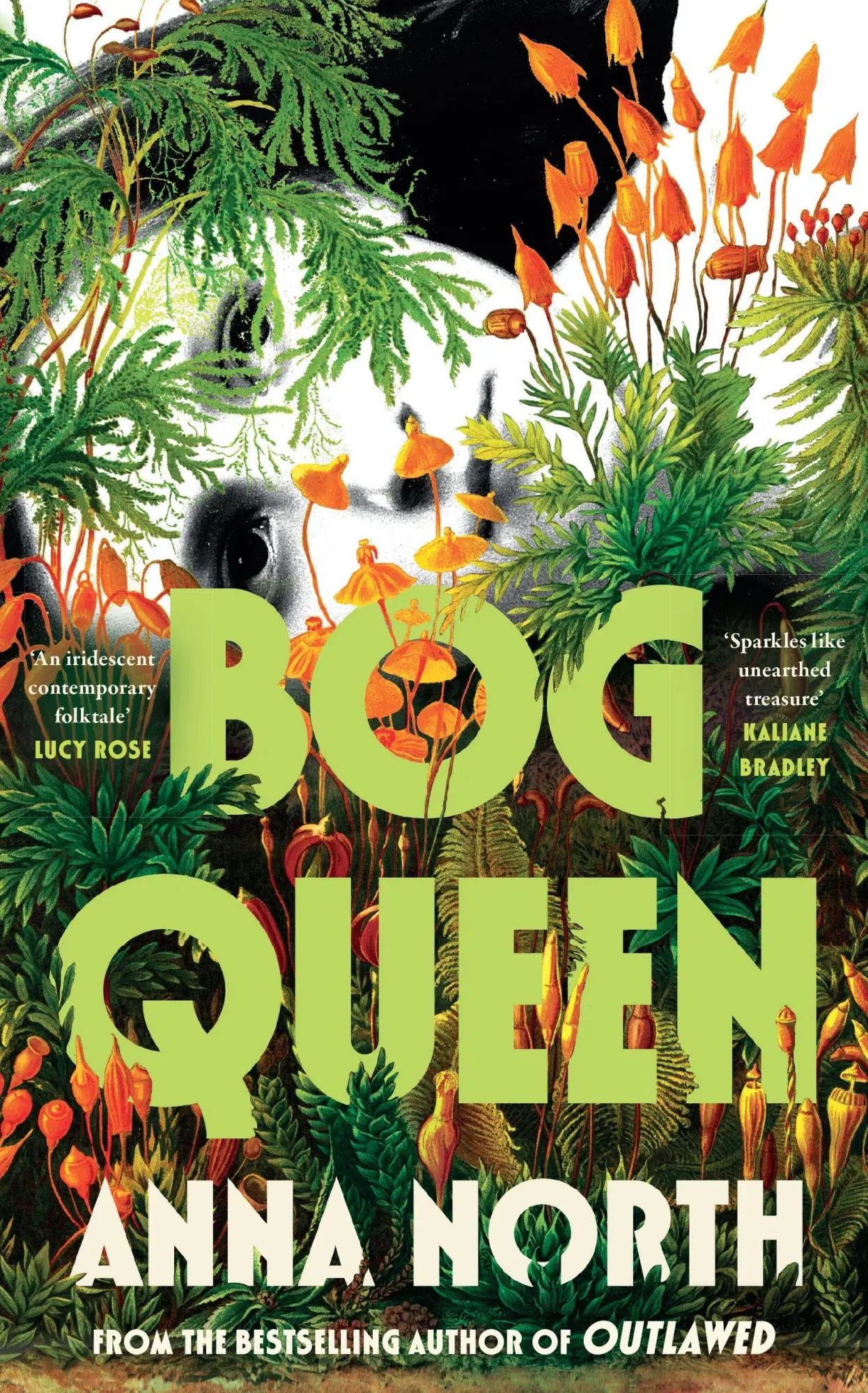 Cover: 9781399629942 | Bog Queen | Anna North | Buch | Englisch | 2025 | Orion Publishing Co