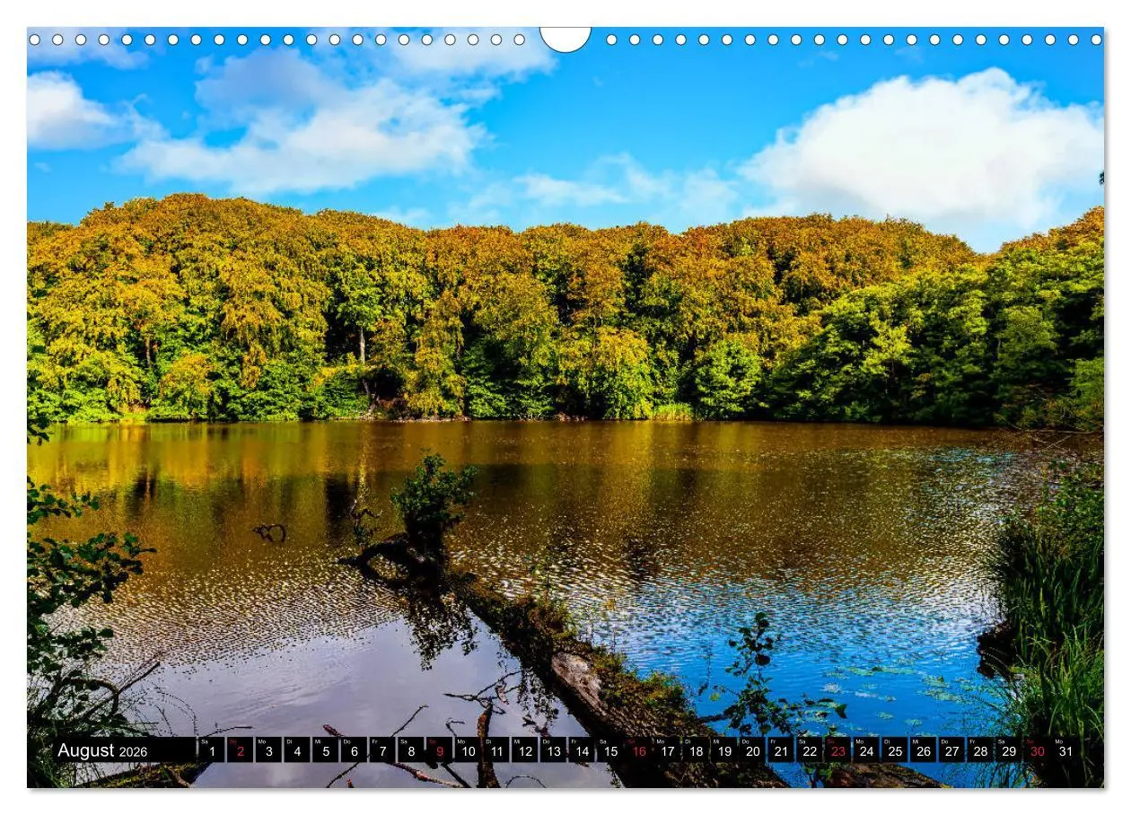 Bild: 9783457769942 | OSTSEE PERLE RÜGEN Michael Jaster (Wandkalender 2026 DIN A3 quer),...