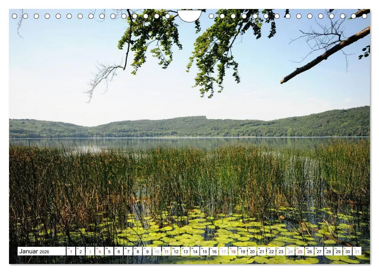 Bild: 9783457909942 | Naturlandschaft Laacher See (Wandkalender 2026 DIN A4 quer),...