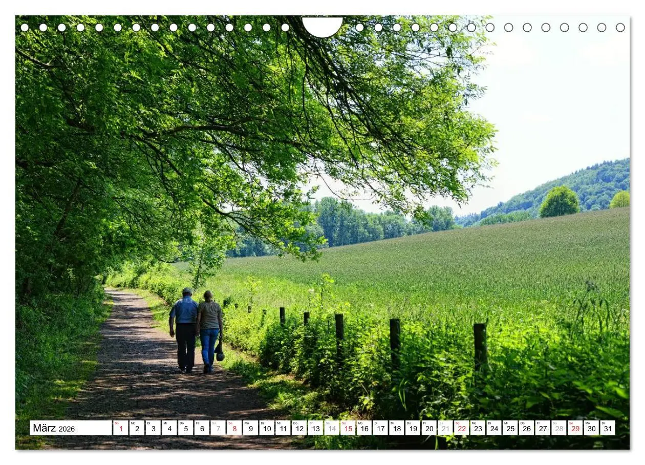 Bild: 9783457909942 | Naturlandschaft Laacher See (Wandkalender 2026 DIN A4 quer),...