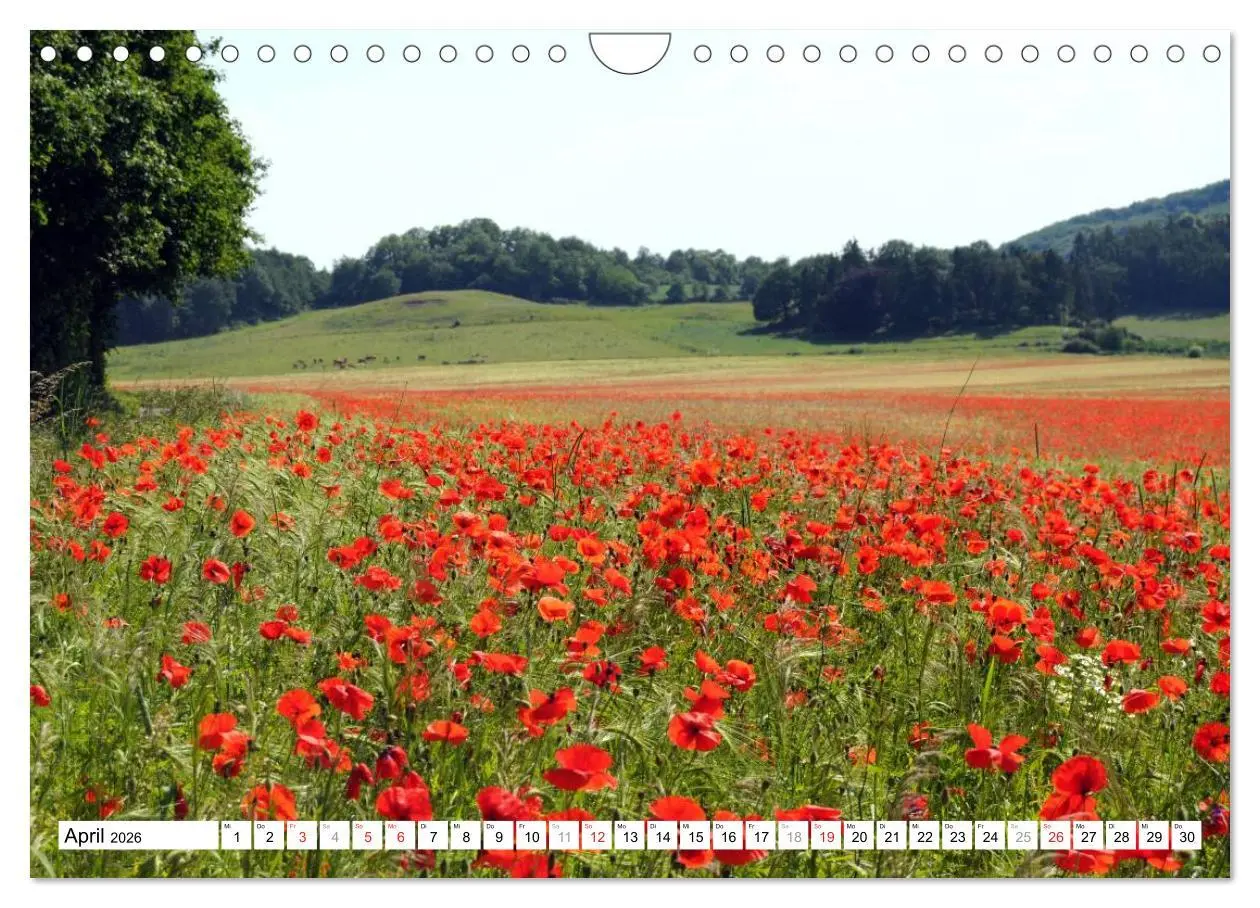 Bild: 9783457909942 | Naturlandschaft Laacher See (Wandkalender 2026 DIN A4 quer),...