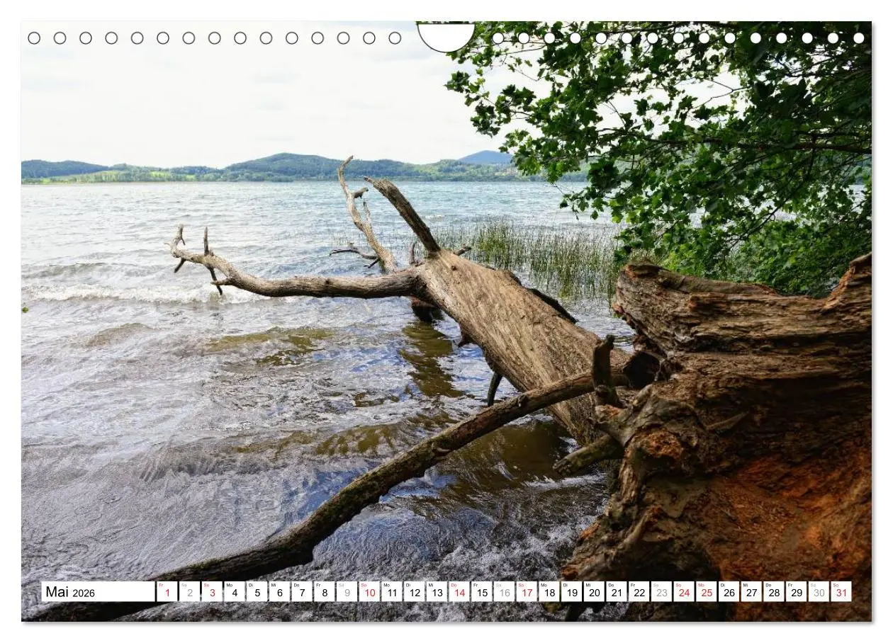 Bild: 9783457909942 | Naturlandschaft Laacher See (Wandkalender 2026 DIN A4 quer),...
