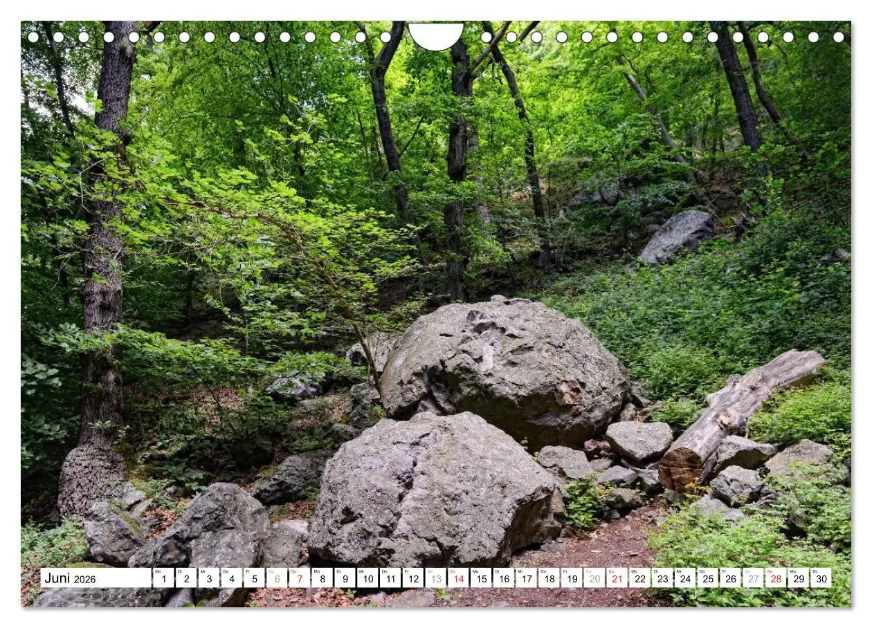 Bild: 9783457909942 | Naturlandschaft Laacher See (Wandkalender 2026 DIN A4 quer),...