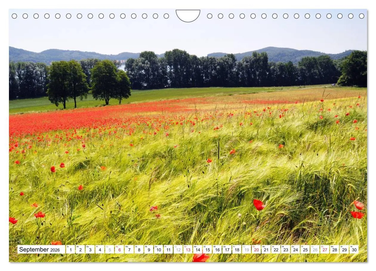 Bild: 9783457909942 | Naturlandschaft Laacher See (Wandkalender 2026 DIN A4 quer),...