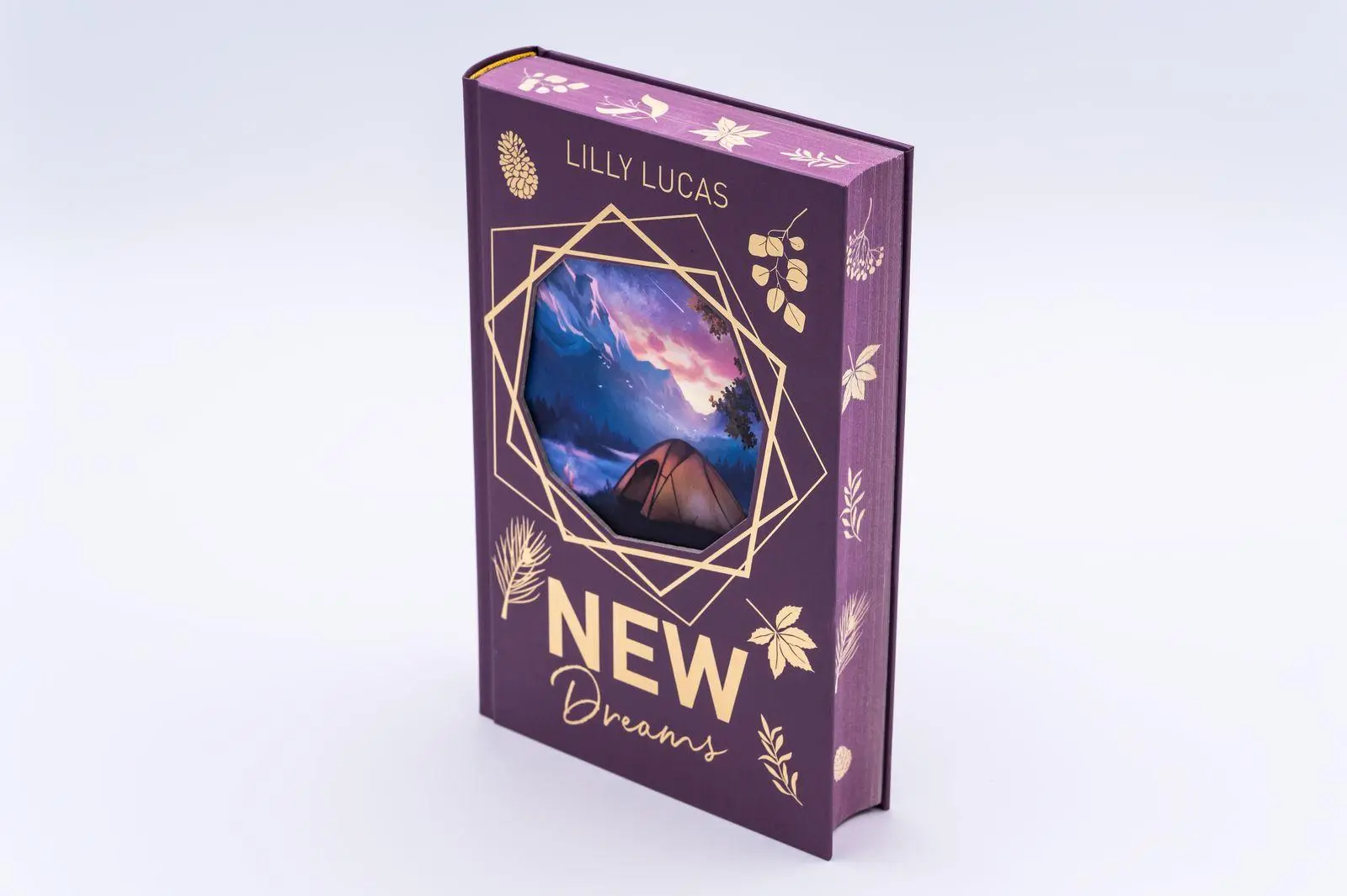 Bild: 9783426570043 | New Dreams | Lilly Lucas | Buch | Green Valley Love | 372 S. | Deutsch