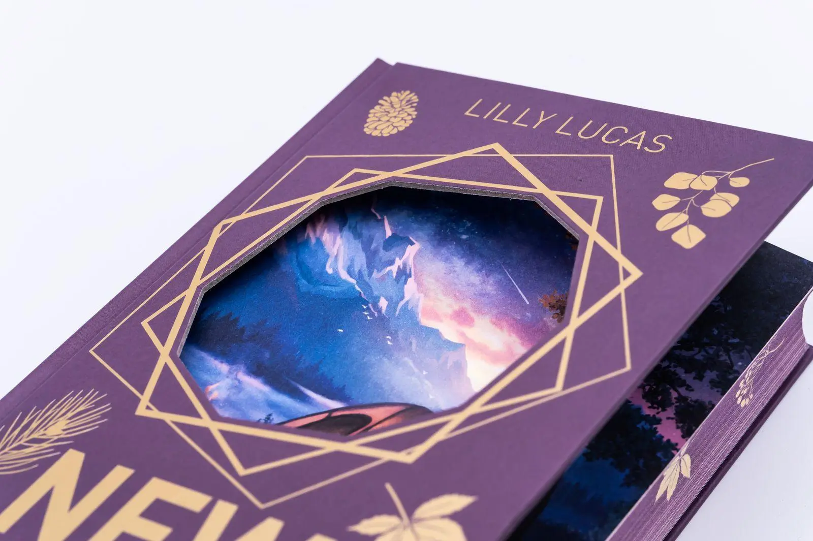 Bild: 9783426570043 | New Dreams | Lilly Lucas | Buch | Green Valley Love | 372 S. | Deutsch