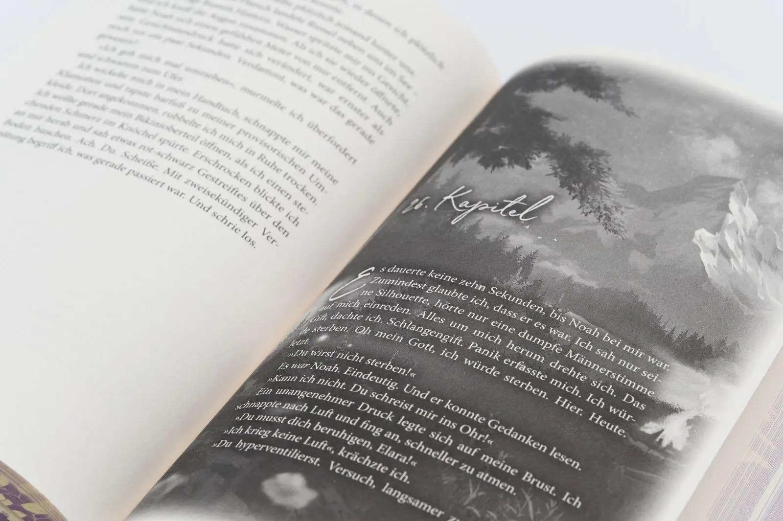 Bild: 9783426570043 | New Dreams | Lilly Lucas | Buch | Green Valley Love | 372 S. | Deutsch