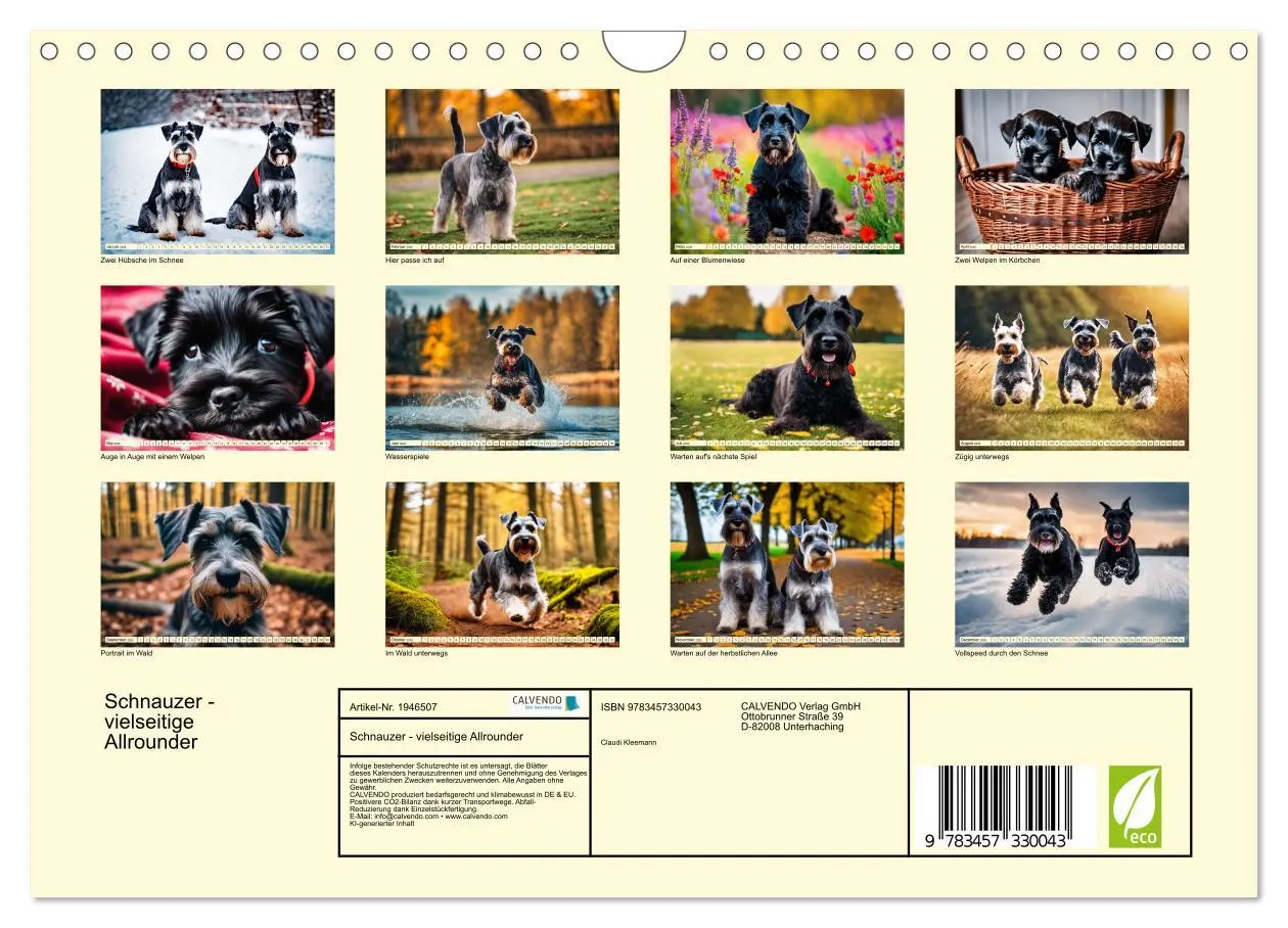 Bild: 9783457330043 | Schnauzer - vielseitige Allrounder (Wandkalender 2026 DIN A4 quer),...