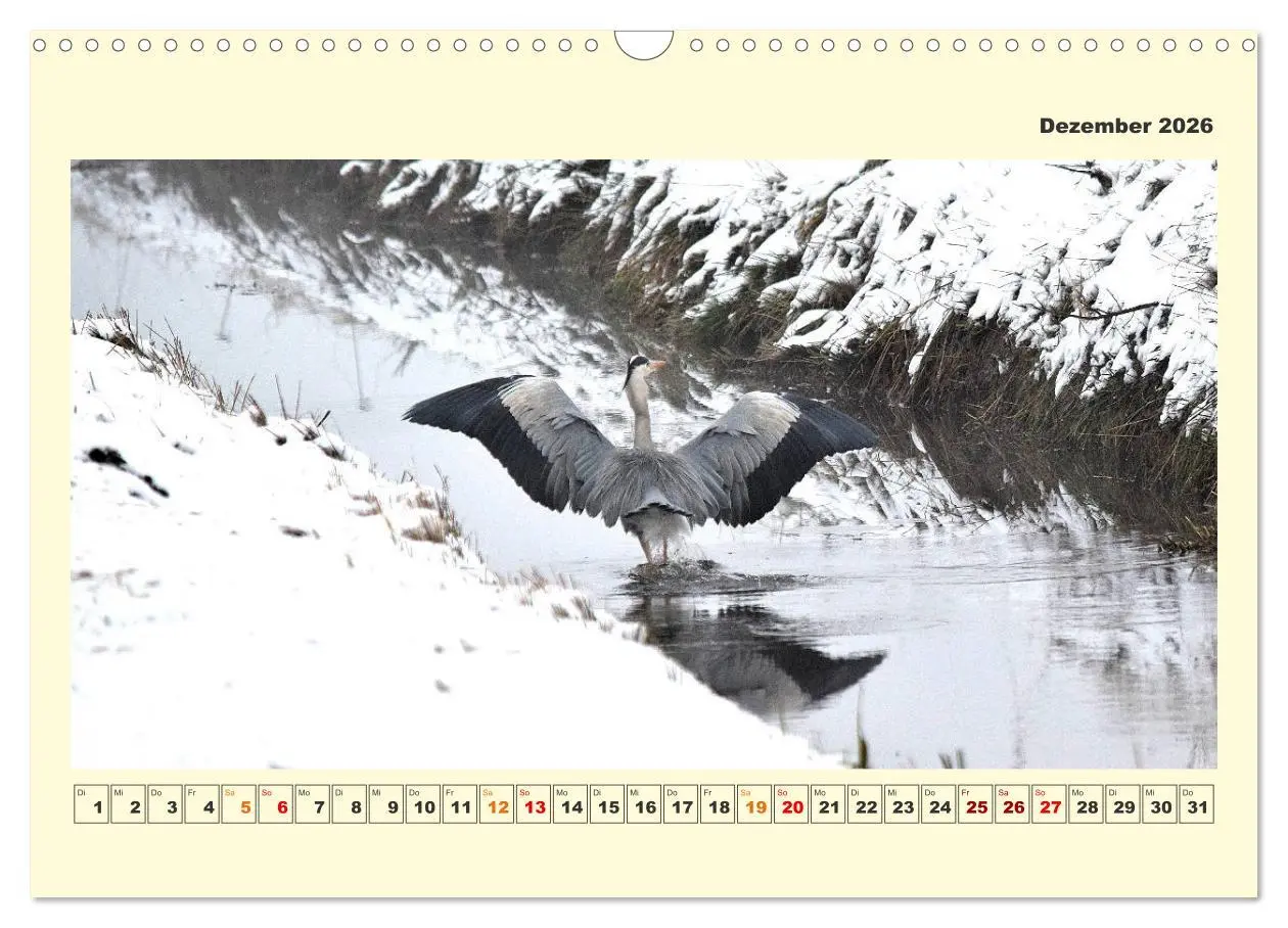 Bild: 9783457570043 | Tierwelt der Wümmeniederung (Wandkalender 2026 DIN A3 quer),...